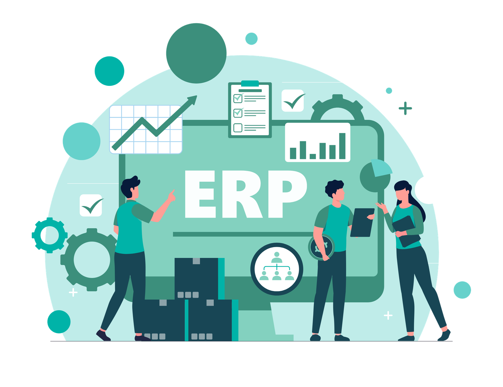 ERP & CRM Development Services